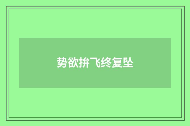 势欲拚飞终复坠