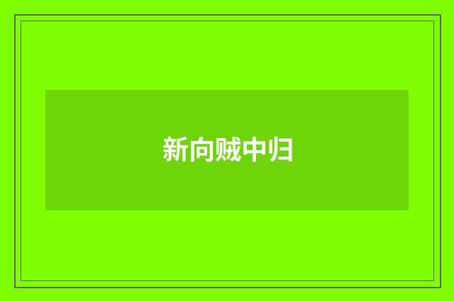 新向贼中归