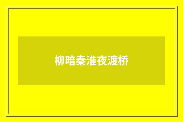 柳暗秦淮夜渡桥