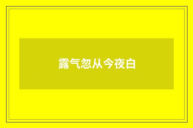 露气忽从今夜白