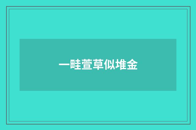 一畦萱草似堆金