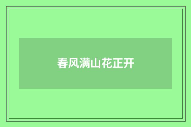 春风满山花正开