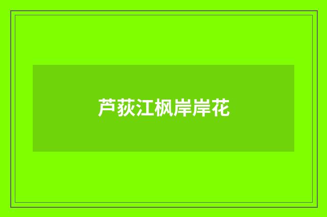 芦荻江枫岸岸花