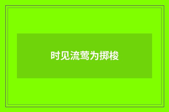 时见流莺为掷梭