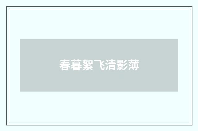 春暮絮飞清影薄