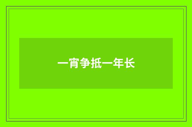 一宵争抵一年长