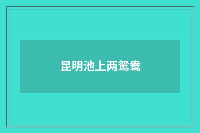 昆明池上两鸳鸯