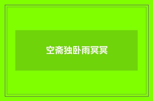 空斋独卧雨冥冥