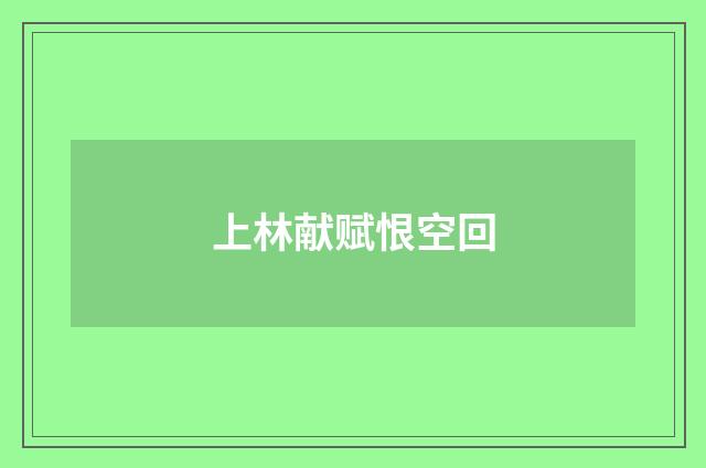 上林献赋恨空回