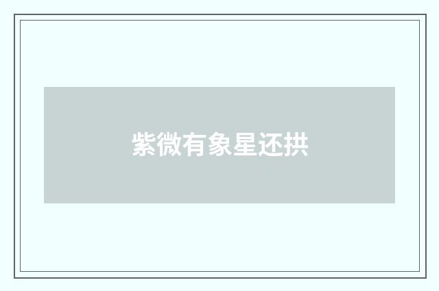 紫微有象星还拱