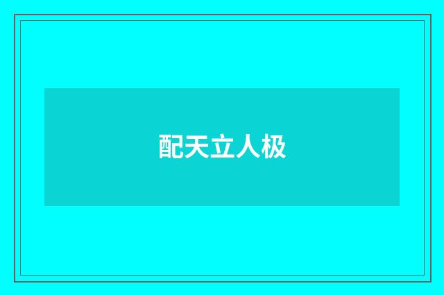 配天立人极