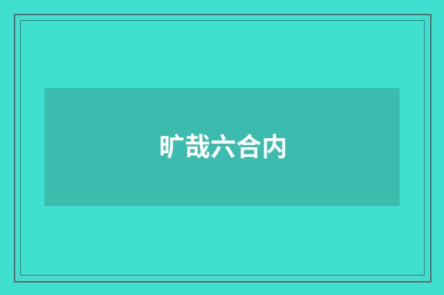 旷哉六合内