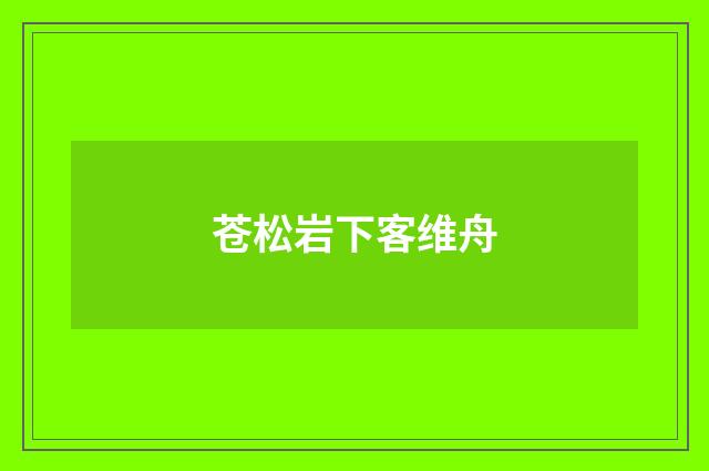 苍松岩下客维舟