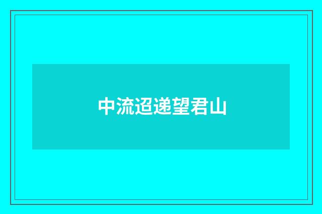 中流迢递望君山
