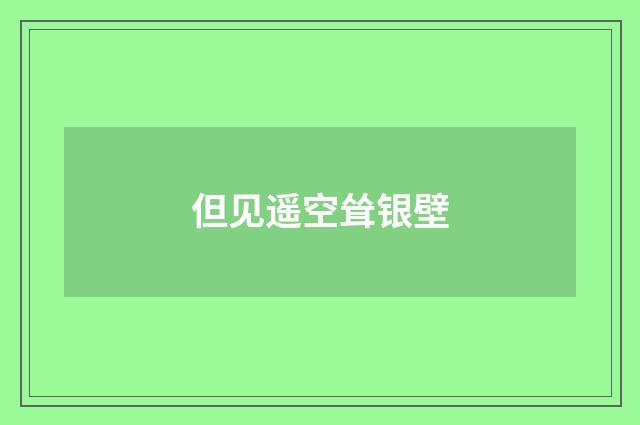 但见遥空耸银壁