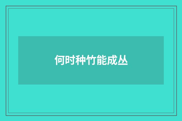 何时种竹能成丛