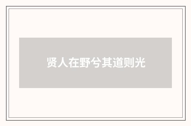 贤人在野兮其道则光
