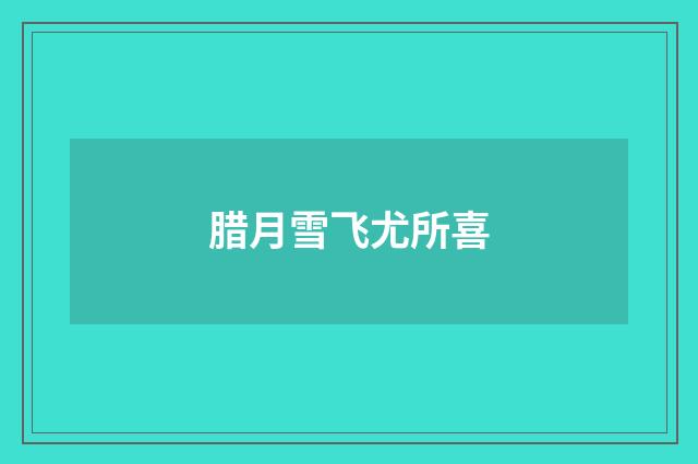 腊月雪飞尤所喜