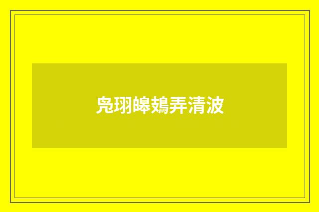 凫珝皞鳷弄清波