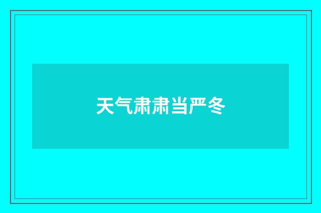天气肃肃当严冬