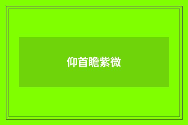 仰首瞻紫微