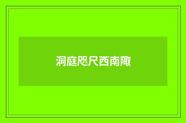 洞庭咫尺西南陬