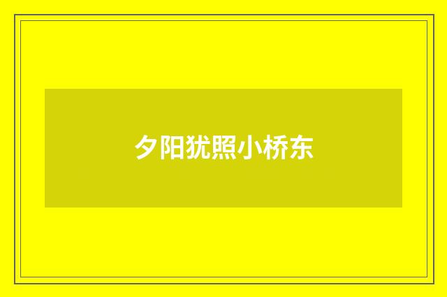夕阳犹照小桥东