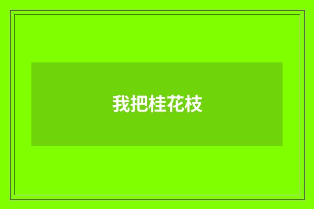 我把桂花枝