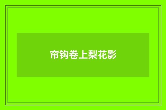 帘钩卷上梨花影