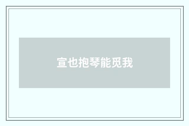 宣也抱琴能觅我