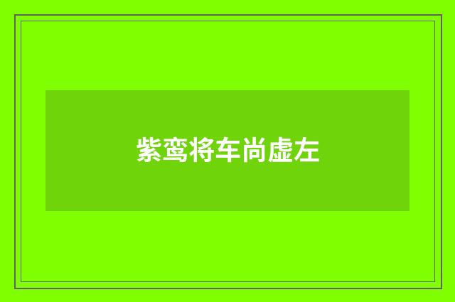 紫鸾将车尚虚左