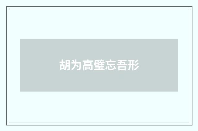 胡为高璧忘吾形