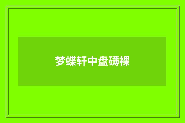 梦蝶轩中盘礴裸