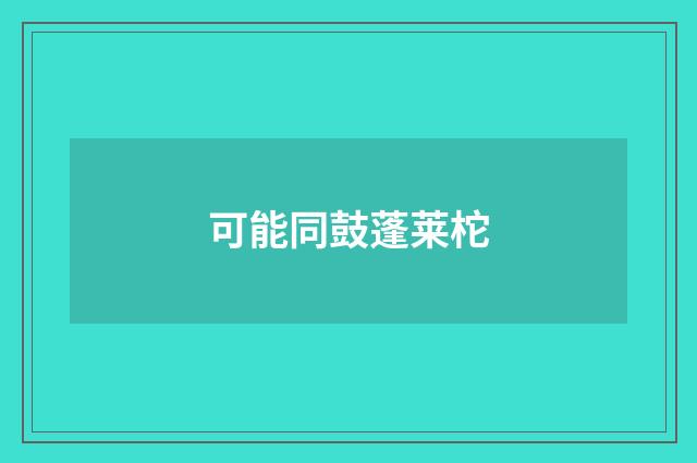 可能同鼓蓬莱柁