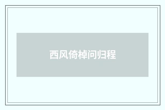 西风倚棹问归程