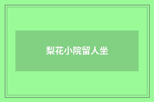 梨花小院留人坐