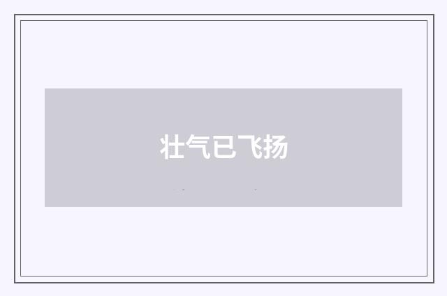 壮气已飞扬