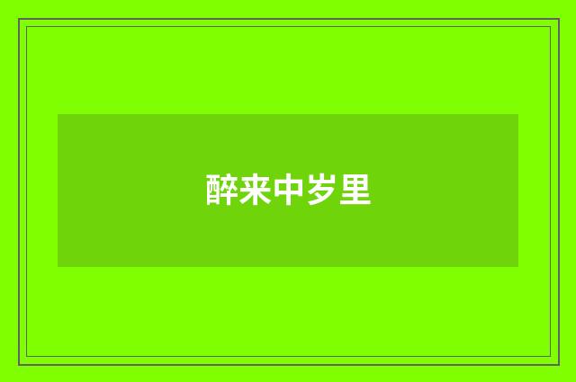醉来中岁里