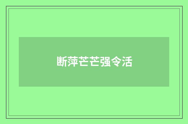 断萍芒芒强令活
