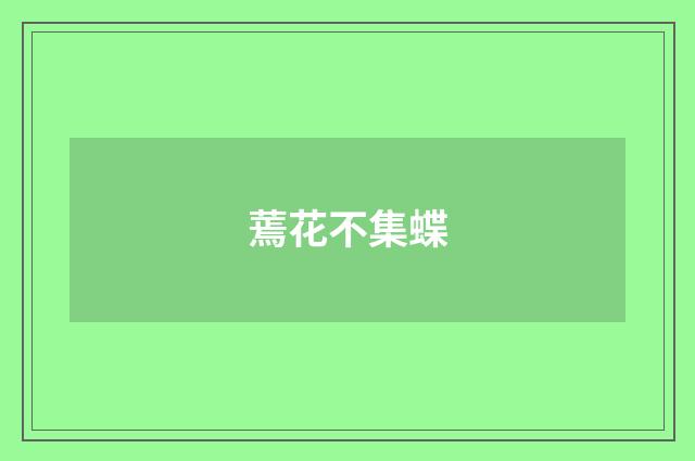 蔫花不集蝶