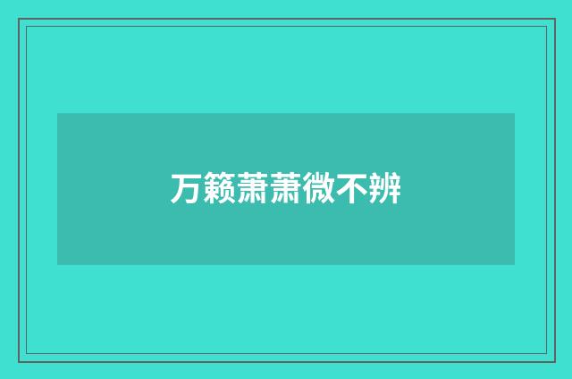 万籁萧萧微不辨