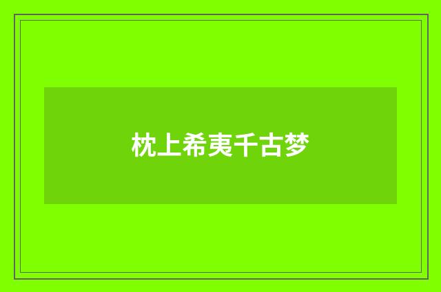枕上希夷千古梦
