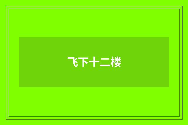 飞下十二楼