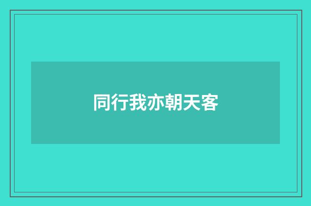 同行我亦朝天客