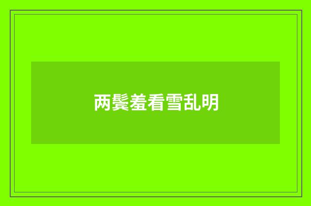两鬓羞看雪乱明