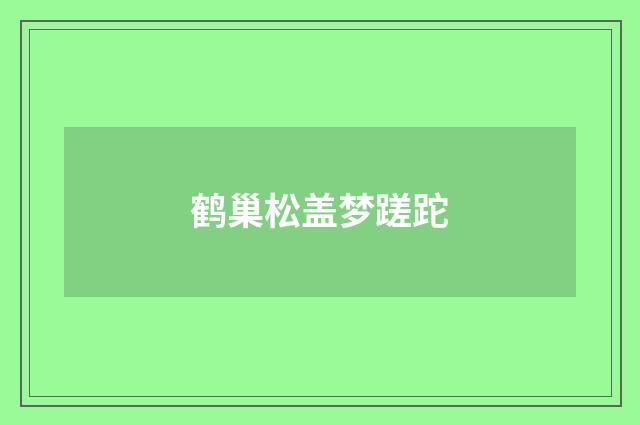 鹤巢松盖梦蹉跎
