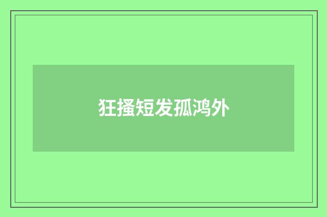 狂搔短发孤鸿外