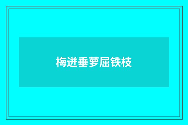 梅迸垂萝屈铁枝