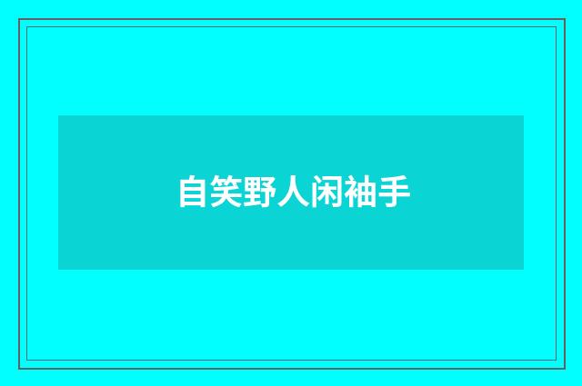 自笑野人闲袖手