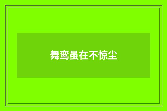 舞鸾虽在不惊尘